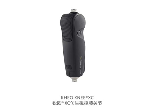膝關節